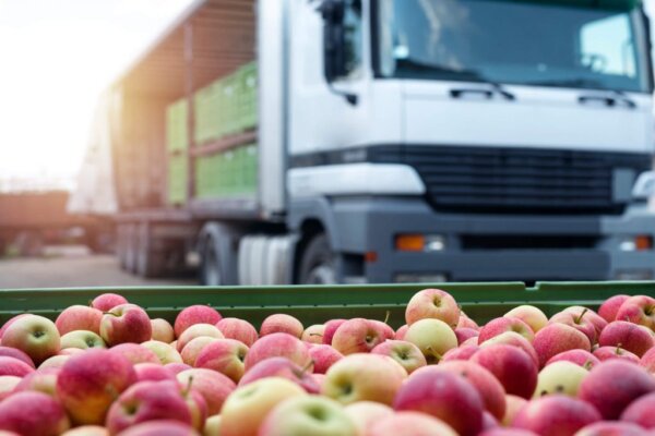 Curso: Buenas prácticas de Almacenamiento, distribución y transporte